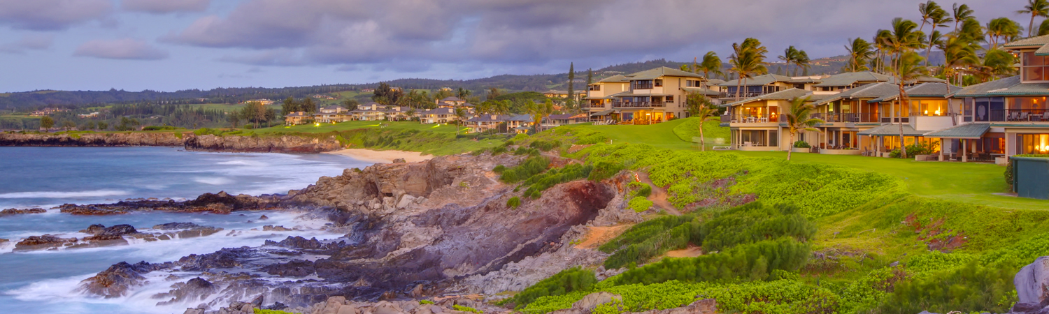 Banner image of Wailea